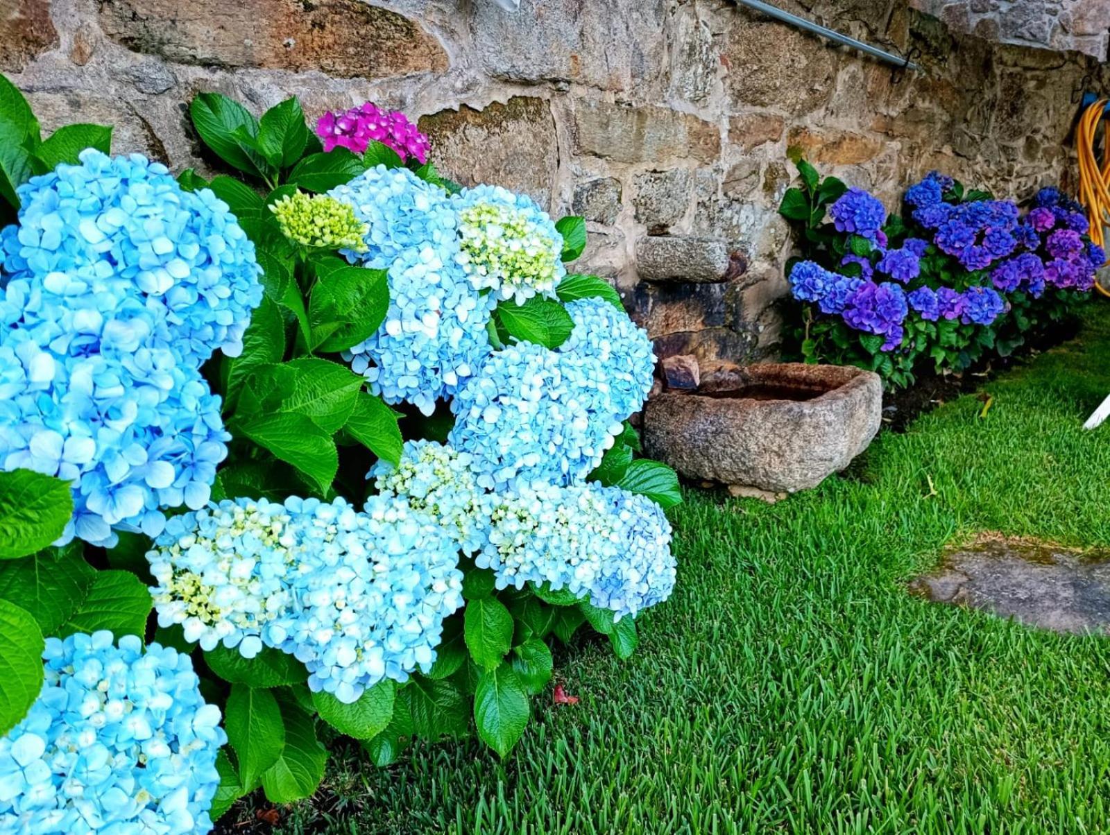 Moaña Remanso Azulヴィラ エクステリア 写真
